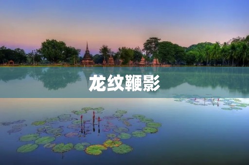 龙纹鞭影：探寻古代武器的历史与文化