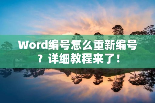Word编号怎么重新编号?详细教程来了!