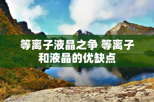 等离子液晶之争 等离子和液晶的优缺点