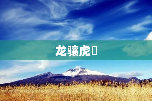 龙骧虎跱:传承中华文化的精神象征