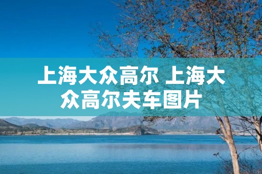 上海大众高尔 上海大众高尔夫车图片 上海大众高尔 上海大众高尔夫车图片