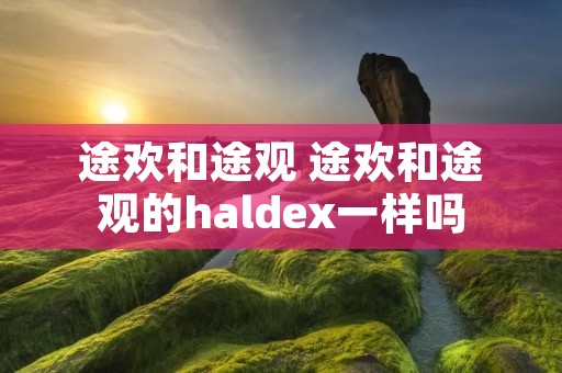 途欢和途观 途欢和途观的haldex一样吗 途欢和途观 途欢和途观的haldex一样吗