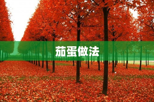 茄蛋做法：让你在家也能轻松做出餐厅级别的美食