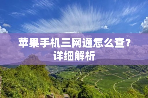 苹果手机三网通怎么查?详细解析