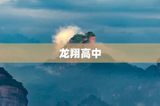 龙翔高中:一所培育未来领袖的学府