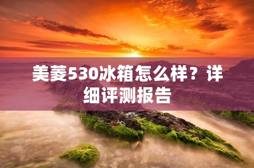 美菱530冰箱怎么样？详细评测报告