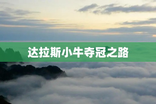 达拉斯小牛夺冠之路：从季后赛开局到总决赛的全面逆袭
