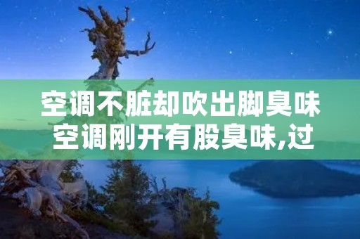 空调不脏却吹出脚臭味 空调刚开有股臭味,过一会就没了