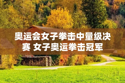 奥运会女子拳击中量级决赛 女子奥运拳击冠军 奥运会女子拳击中量级决赛 女子奥运拳击冠军
