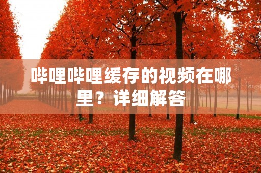 哔哩哔哩缓存的视频在哪里?详细解答