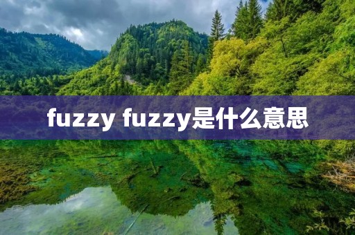 fuzzy fuzzy是什么意思