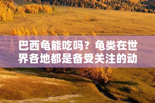 巴西龟能吃吗?龟类在世界各地都是备受关注的动物,它们的美丽外表和独特的生活方式让人们着迷。而巴西龟作为龟类中的一种,也深受人们的喜爱。很多人都很好奇,巴西龟是否可以食用?今天我们就来探讨一下这个问题。