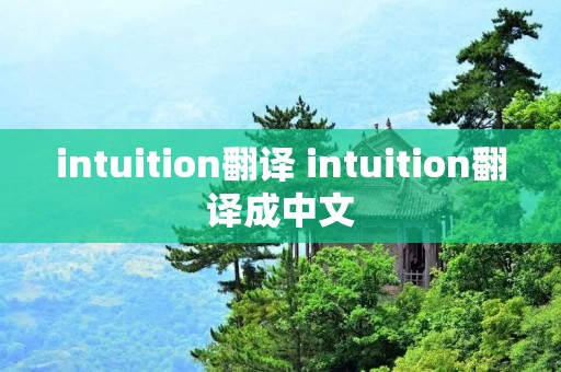 intuition翻译 intuition翻译成中文