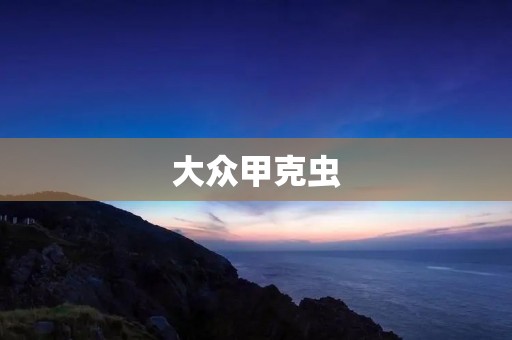 大众甲克虫:经典车型的传承与创新 大众甲克虫:经典车型的传承与创新