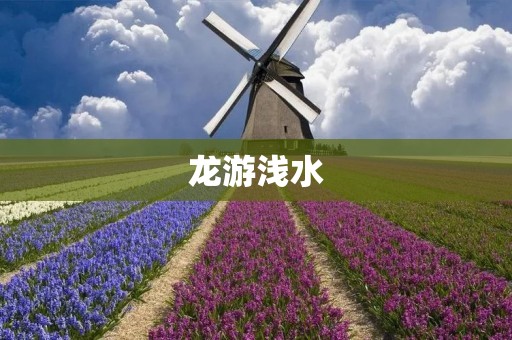 龙游浅水:探寻水中世界的神秘