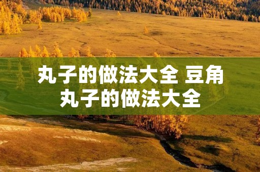 丸子的做法大全 豆角丸子的做法大全