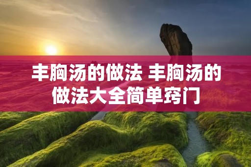 丰胸汤的做法 丰胸汤的做法大全简单窍门