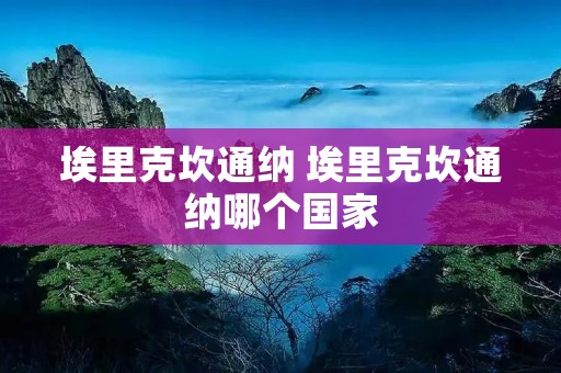 埃里克坎通纳 埃里克坎通纳哪个国家