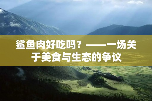 鲨鱼肉好吃吗?——一场关于美食与生态的争议