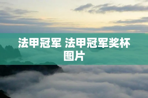 法甲冠军 法甲冠军奖杯图片 法甲冠军 法甲冠军奖杯图片