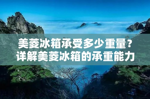美菱冰箱承受多少重量？详解美菱冰箱的承重能力