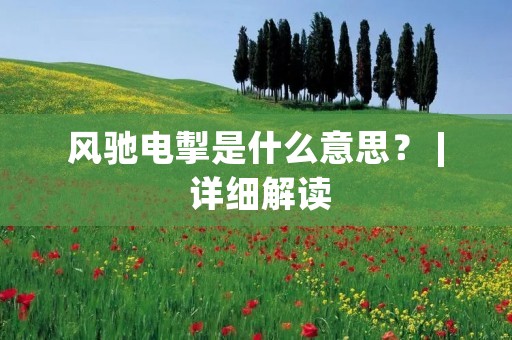风驰电掣是什么意思? | 详细解读