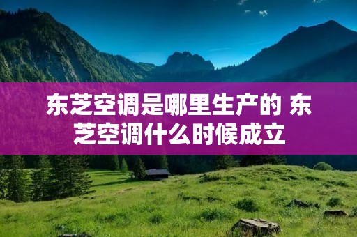 东芝空调是哪里生产的 东芝空调什么时候成立 东芝空调是哪里生产的 东芝空调什么时候成立