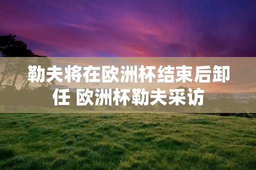 勒夫将在欧洲杯结束后卸任 欧洲杯勒夫采访