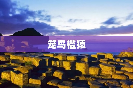 笼鸟槛猿:动物园中的残忍现象