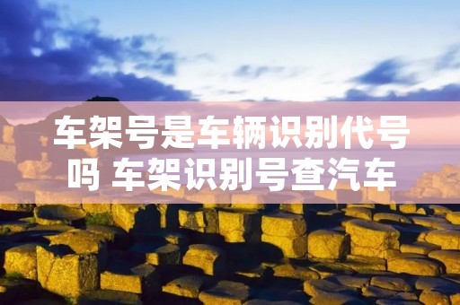 车架号是车辆识别代号吗 车架识别号查汽车信息