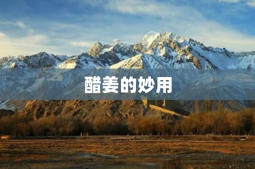 醋姜的妙用：多种做法让你轻松入手！