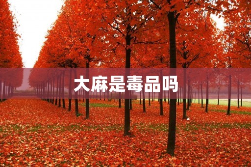 大麻是毒品吗:探讨大麻的药用与危害