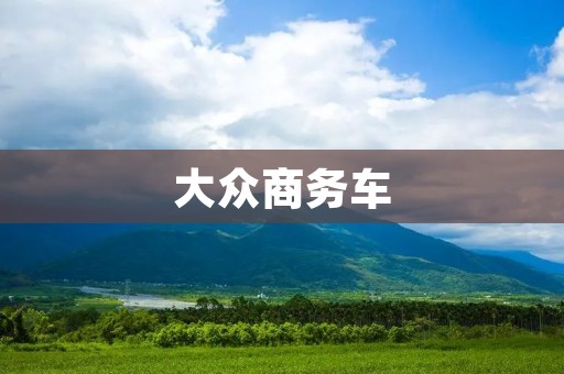 大众商务车:打造商旅新标杆 大众商务车:打造商旅新标杆