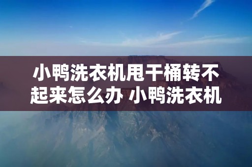 小鸭洗衣机甩干桶转不起来怎么办 小鸭洗衣机甩干桶转不起来怎么办呢