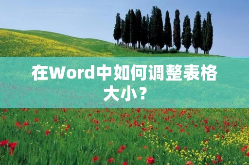 在Word中如何调整表格大小?