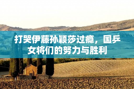打哭伊藤孙颖莎过瘾,国乒女将们的努力与胜利 打哭伊藤孙颖莎过瘾,国乒女将们的努力与胜利