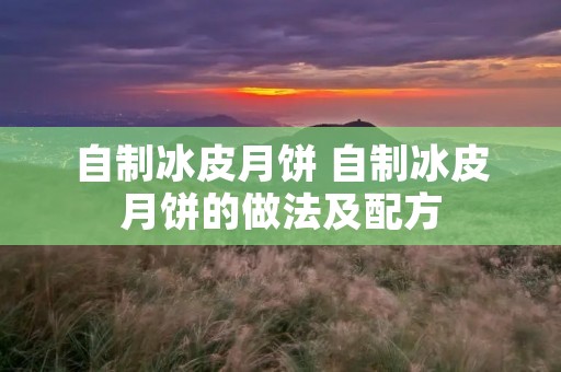 自制冰皮月饼 自制冰皮月饼的做法及配方 自制冰皮月饼 自制冰皮月饼的做法及配方