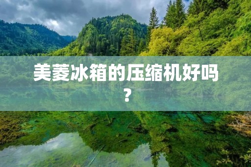 美菱冰箱的压缩机好吗? 美菱冰箱的压缩机好吗?