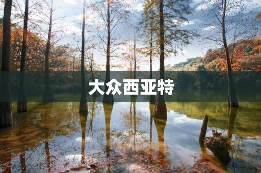 大众西亚特:欧洲品质,亚洲智慧 大众西亚特:欧洲品质,亚洲智慧