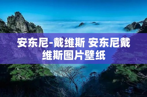 安东尼-戴维斯 安东尼戴维斯图片壁纸 安东尼-戴维斯 安东尼戴维斯图片壁纸