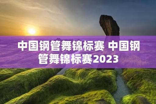 中国钢管舞锦标赛 中国钢管舞锦标赛2023 中国钢管舞锦标赛 中国钢管舞锦标赛2023