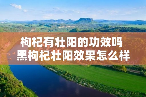 枸杞有壮阳的功效吗 黑枸杞壮阳效果怎么样