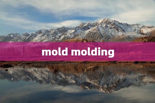 mold molding mold molding
