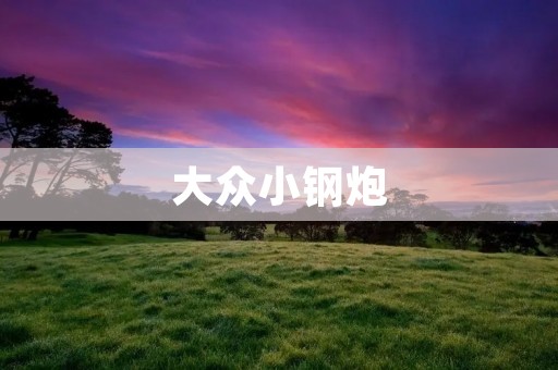 大众小钢炮:一款性价比超高的小型SUV 大众小钢炮:一款性价比超高的小型SUV