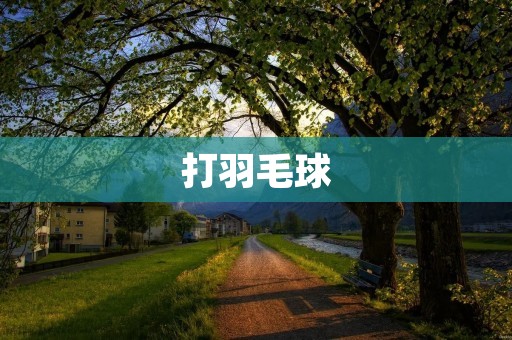 打羽毛球：一种健康又有趣的运动