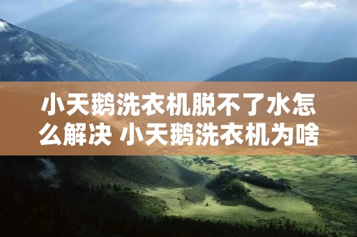 小天鹅洗衣机脱不了水怎么解决 小天鹅洗衣机为啥脱不了水了 小天鹅洗衣机脱不了水怎么解决 小天鹅洗衣机为啥脱不了水了