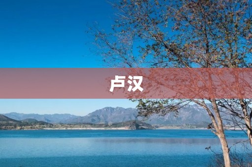 卢汉：红色革命家的传奇人生