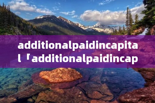 additionalpaidincapital「additionalpaidincapital怎么求」