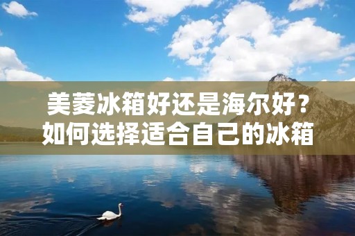 美菱冰箱好还是海尔好？如何选择适合自己的冰箱？