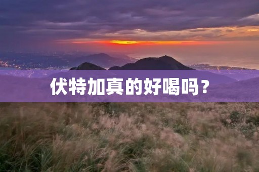 伏特加真的好喝吗?